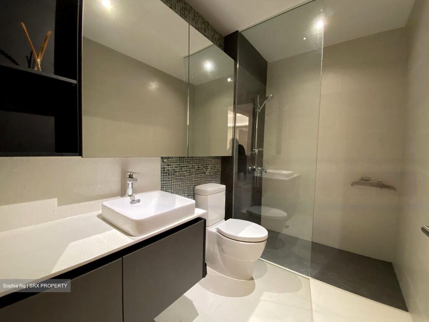 Woollerton Park (D10), Terrace #479646561